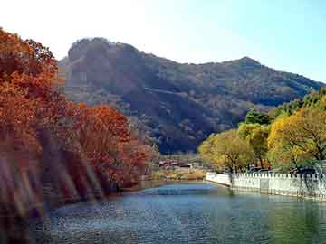 管家婆黑白马报图库，天然橡胶板